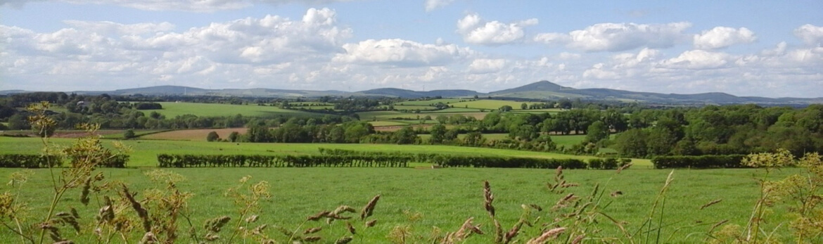 Irish landscape